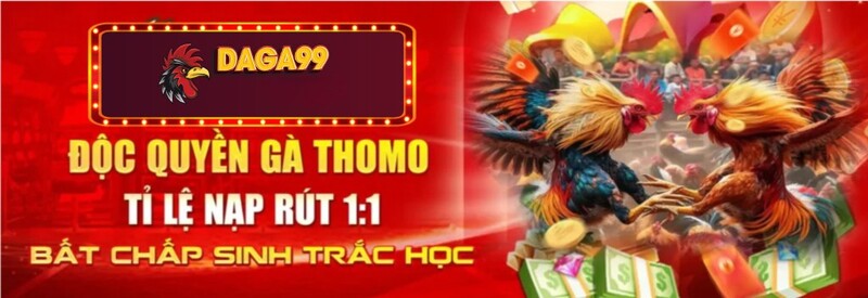 Tầm nhìn của Daga99 trong lĩnh vực cá cược